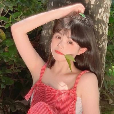 大明一品官内购破解版下载